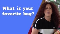 Apprenons l’anglais avec Anna, épisode 14: "What is your favorite bug?"