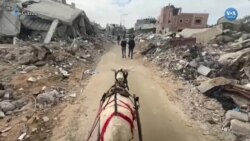 Han Yunus’taki yıkım temel ulaşım aracı haline gelen eşek arabasından görüntülendi 