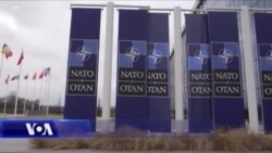 Suedia drejt anëtarësimit në NATO pas ratifikimit nga Hungaria 