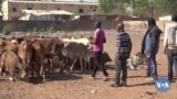 🇲🇱Mali Kono Banga Songo ko Gueleyaw Sungalo seli Niakoro 