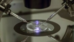 Legisladores en Alabama buscan solución a fecundación in vitro