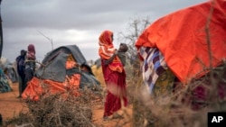 FILE - A Somali woman breastfeeds her child at a camp for displaced people on the outskirts of Dollow, Somalia, on Sept. 20, 2022. A new report estimates 43,000 people died amid Somalia's drought last year, half of them children.