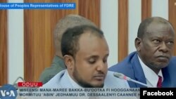 Miseensi Mana Maree Bakka Bu’ota Uummataa Dr. Dessaaleny Caannee To’annaa Jala Oolan