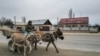 2024年3月20日哈薩克和中國邊境附近一名騎著驢子的男子．