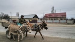资料照片: 2024年3月20日哈萨克斯坦和中国边境附近一名骑着毛驴的男子