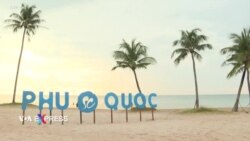 Du khách kẹt trên đảo Phú Quốc vì các hãng tour có tranh chấp đã trở về Đài Loan