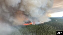 2023年，加拿大正在经历有史以来最严重的林火季节。