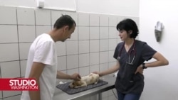 Srebrenička priča sarajevske veterinarke