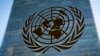 Civil Society Warns of 'Critical Gaps' in UN's Draft Cybercrime Treaty 