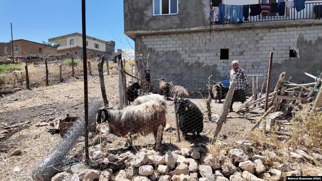 Diyarbakır’ın Köksalan Köyü’nde yangının ardından yeniden göç endişesi yaşanıyor.