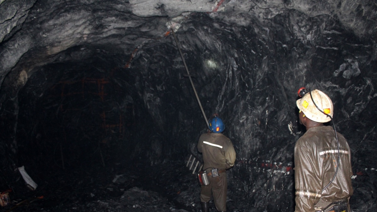 Zimbabwe Gold Output Declines Amid Electricity, Forex Shortages - Vimarsana News