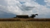 Ukraine Traders Concerned Over Plans to Change Grain Export Rules Again 