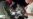 16x9 Image