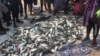 Ngư dân Angola tố tàu cá Trung Quốc ‘vét sạch’ trữ lượng cá trong vùng