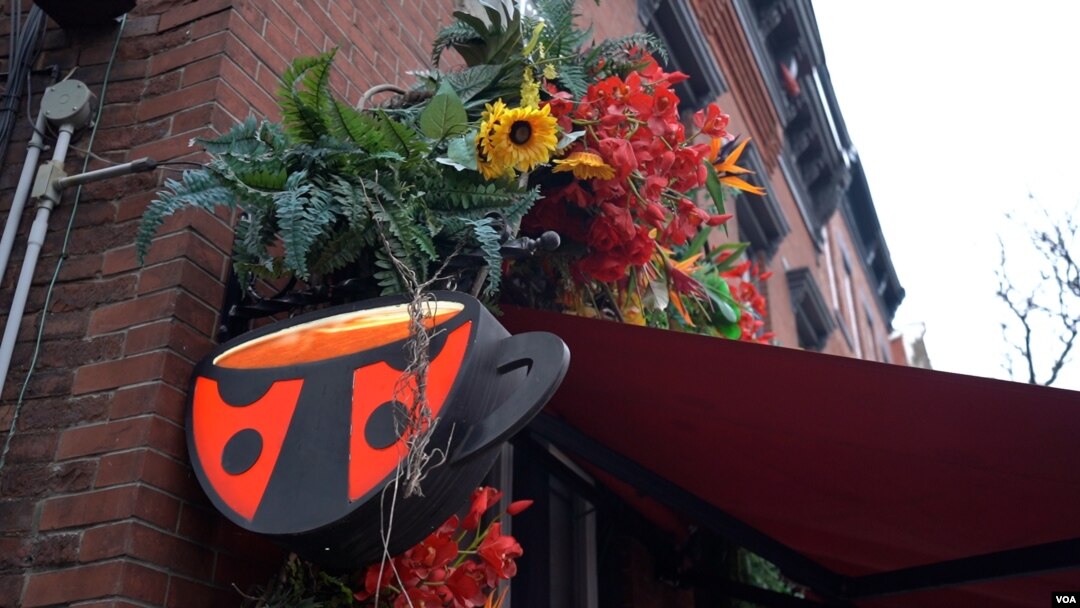 Kafe Bubamara (Foto: VOA)