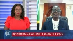 Spika wa Bunge la Tanzania Tulia Ackson azungumzia wajibu wa Bunge kupunguza matumizi ya serikali 
