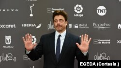 El actor Benicio del Toro posa para la prensa en Madrid, España, donde este sábado recibirá el Premio Platino de Honor. Archivo.
