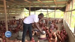 Tsadar Kaji A Ghana Ya Hana Mutane More Shagulgulan Sallah