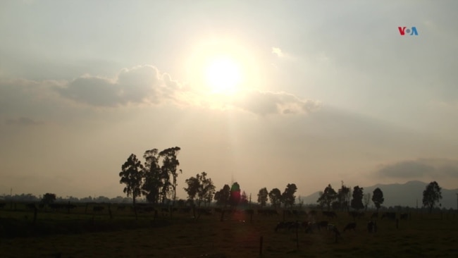  Fenómeno de El Niño traería las temperaturas más altas a Colombia