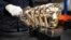 FILE - A foundry man places a completed British Academy Film Awards mask amongst others as part of the process to create BAFTA masks at FSE Foundry in Braintree, Essex, on Jan. 24, 2024. 