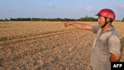 A farmer points to an abandoned rice field due to lack of fresh water, in Vietnam's southern Ben Tre province on March 19, 2024. A blazing heatwave has brought drought, parching the land of Ben Tre province.