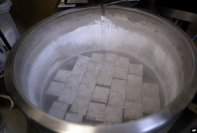 FILE - In this Tuesday, Oct. 2, 2018 photo, containers holding frozen embryos and sperm are stored in liquid nitrogen at a fertility clinic in Fort Myers, Florida. (AP Photo/Lynne Sladky, File)