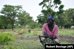 Marthe Noudjinaibaye, a mother of six children, is photographed at her farm in Binmar, Chad, Friday, July 19, 2024. (AP Photo/Robert Bociaga)