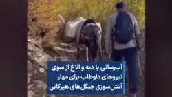 آب‌رسانی با دبه و الاغ از سوی نیروهای داوطلب برای مهار آتش‌سوزی جنگل‌های هیرکانی