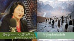བོད་མི་རིགས་ཀྱི་རིག་གཞུང་གོམས་གཤིས་ཁག་སྔར་སྲིད་པ་ཆགས་སྐབས་ཞིང་འབྲོག་ཁག་ལས་བྱུང་ཡོད་ཚོད།