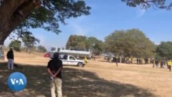 Zanu PF Activists in Action ...