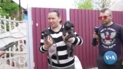 Volunteers Help Evacuate Pets From Ukraine’s Donbas Region