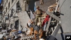 Uma equipa de salvamento com um cão procura vítimas num edifício de apartamentos danificado após ter sido atingido por uma bomba aérea russa em Kharkiv, Ucrânia, sábado, 22 de junho de 2024.