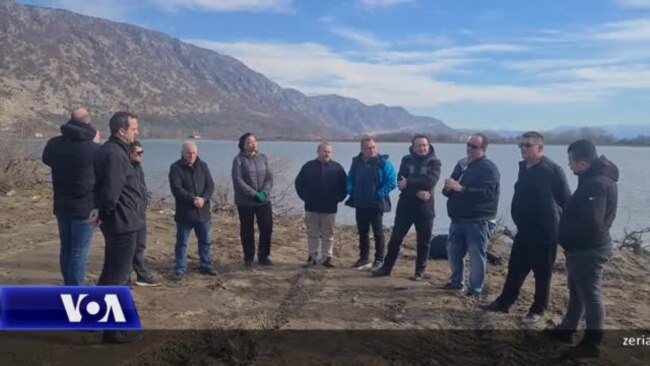Shqipëri, shoqatat bëjnë thirrje për mbrojtjen e ligatinave