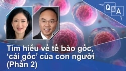 Tìm hiểu về tế bào gốc, ‘cái gốc’ của con người (Phần 2)