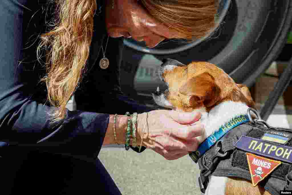 United States Agency for International Development Administrator Samantha Power plays with famous Ukrainian detection dog Patron before a press conference in Kyiv, Ukraine. REUTERS/Alina Smutko