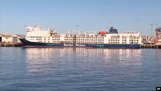 This image made from video shows the ship MV Bahijah, with sheep and cattle on board, at a port in Fremantle, Australia, Feb. 2, 2024. (Channel 10 via AP)