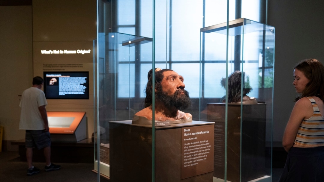 01000000-0a00-0242-f567-