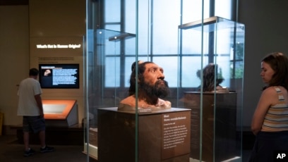 Science Revealing Genetic Legacy of Human's Cousins Like Neanderthals