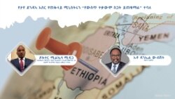 የታየ ደንዳኣ እስር የጠቅላይ ሚኒስትሩን “የውስጥ ተቃውሞ ስጋት ይጠቁማል” ተባለ