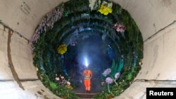 Seorang teknisi Jason Lyon mengamati "Loo Garden", taman bawah tanah sementara yang dirancang untuk mewakili masa depan pembuangan limbah Sungai Thames yang lebih sehat, di London, Inggris, 29 Juni 2023.