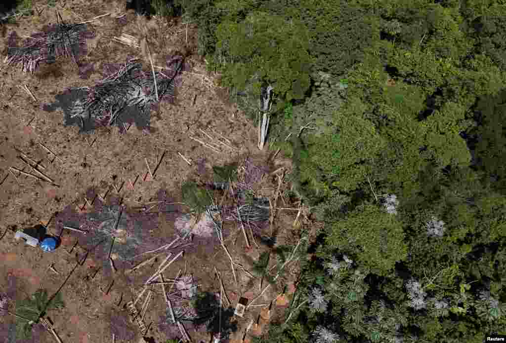 Brasil es uno de los países que más se ha visto afectado. En la imagen, árboles yacen en el suelo en Aruja, a las afueras de Sao Paulo, en un área bajo protección permanente luego de ser deforestada de forma ilegal.