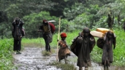 Une guerre silencieuse : récits de souffrances humaines et de résilience en RDC