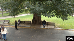 Hingga 40.000 orang datang melalui Boston Common setiap hari, Boston, Massachusetts, 7 November 2023. (Adam Greenbaum/VOA)