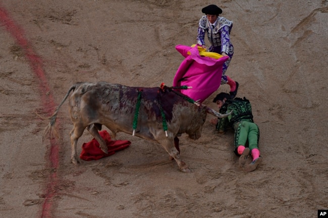 Bullfighter Miguel Angel Perera is pushed by a bull during the San Fermin fiestas in Pamplona, July 10, 2023. (AP Photo/Alvaro Barrientos)