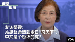 专访蔡霞： 从胡赵命运到今日“习天下”，中共是个什么样的党？