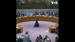 安理会表决巴勒斯坦加入联合国 美国投下反对票