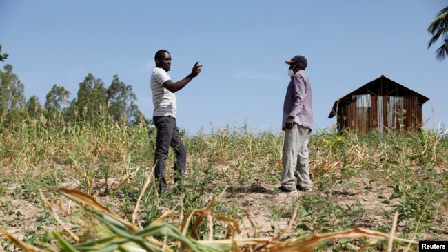 FILE - Famine Early Warning System Network in Africa (FEWS NET) scientist Chris Shitote talks to farmer Bernard Mbithi after he uprooted his maize field that failed because of a drought in Kilifi county, Kenya, Feb. 16, 2022.