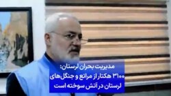  مدیریت بحران لرستان: ۳۱۰۰ هکتار از مراتع و جنگل‌های لرستان در آتش سوخته است