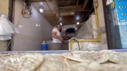 قورسی ژیان لە گەرمترین ناوچەی هەرێمی کوردستان