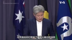 澳大利亚外长对杨恒均被判死缓感到震惊 